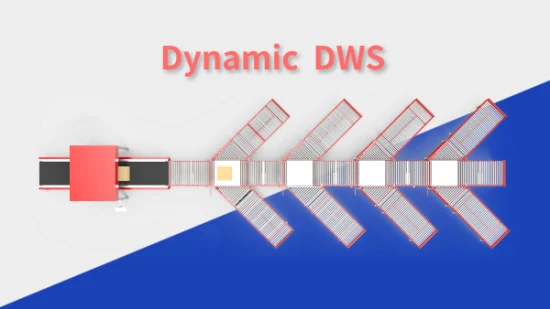 Dws 시스템 솔루션, 용적량 스캔, Dws 자동 텔레스코픽 벨트 컨베이어, Dws 창고 물류 시스템, 전자상거래 소포 분류기